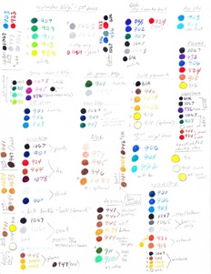 color palette