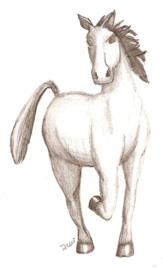 horse sketch