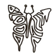 butterfly word