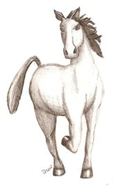horse hart